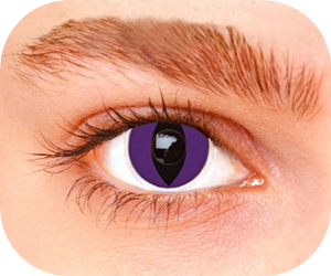 Lentilles Halloween CAT PURPLE