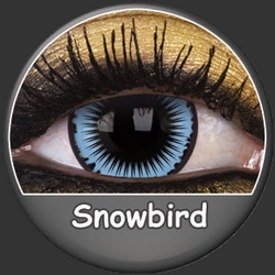 Lentilles Fantaisie SNOWBIRD