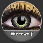 Lentilles Fantaisie WEREWOLF