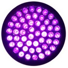 Torche à Led UV - 51 Leds